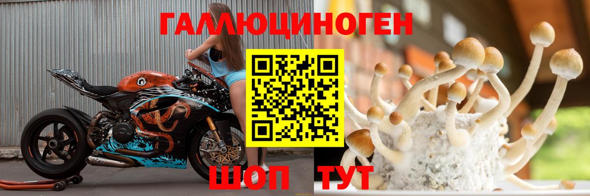 Псилоцибиновые грибы мицелий  цены наркотик  Вход с VPN  Полевской  Галлюциногенные грибы Magic Shrooms 